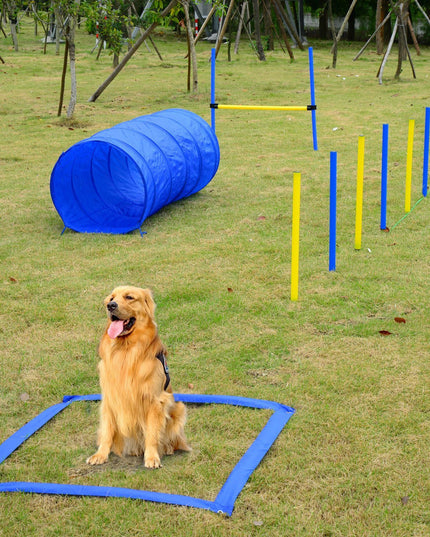 PawHut Dog Agility Starter Kit Pet Outdoor Exercise Training Set