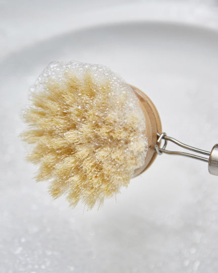 Wooden and Sisal Dish Brush with 2 Pieces Replacement Brush Heads