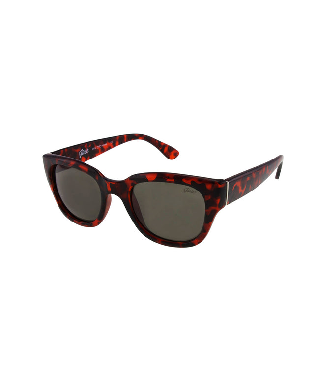 Jase New York Delano Sunglasses in Havana
