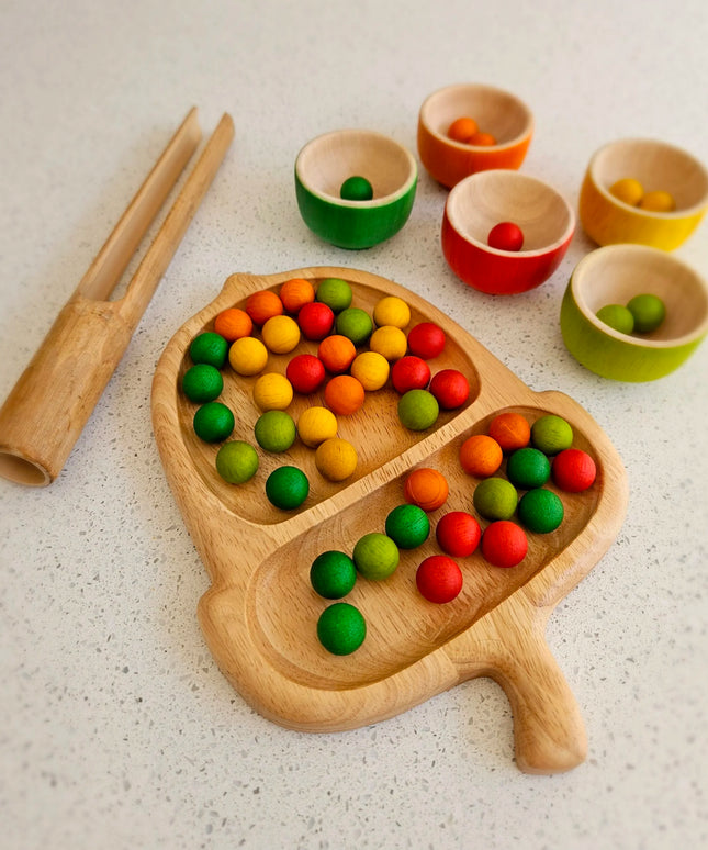 QToys Australia (USA) Acorn Tray
