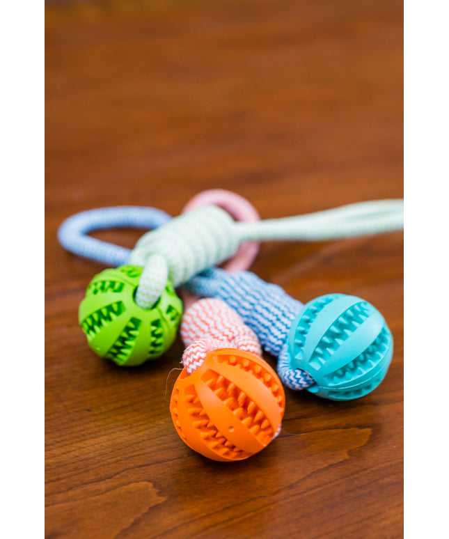 Durable Rubber Ball Chew Toy with Cotton Rope