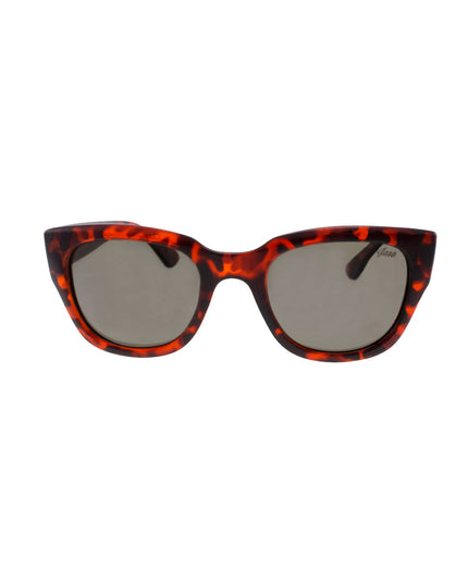 Jase New York Delano Sunglasses in Havana