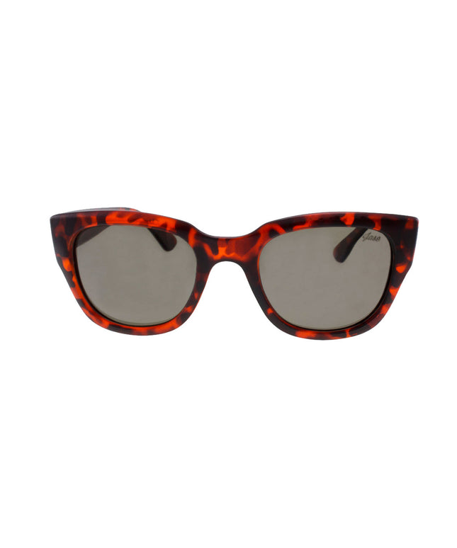 Jase New York Delano Sunglasses in Havana