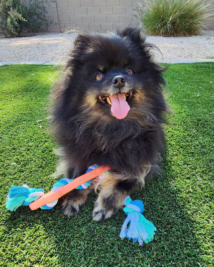 Rubber Bone Dog Chew Toy with Tug Rope -- Great for Active Dogs
