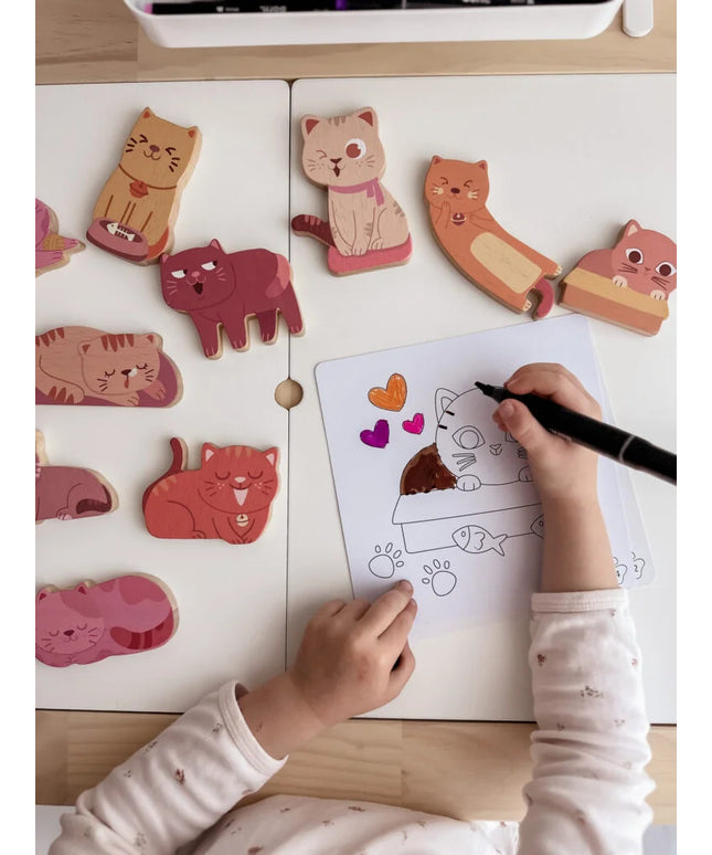 QToys Australia (USA) Cat play set & colouring