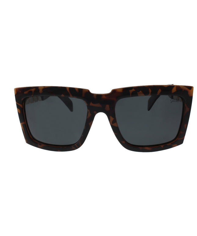 Jase New York Casero Sunglasses in Havana