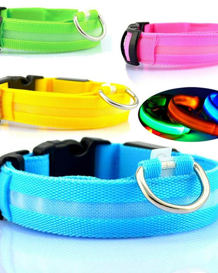 USB RECHARGEABLE LED PET DOG COLLAR