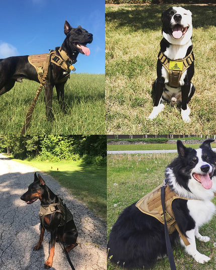 Fast Shipping Military Dog Tactical Harness and Leash Set