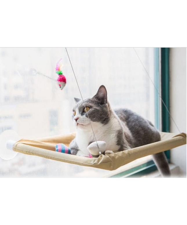 Cat Window Bed