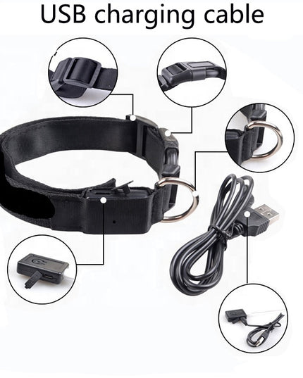 USB RECHARGEABLE LED PET DOG COLLAR