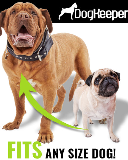 DogKeeper