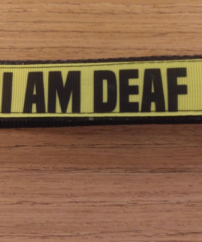 Leash/ Large/  Deaf