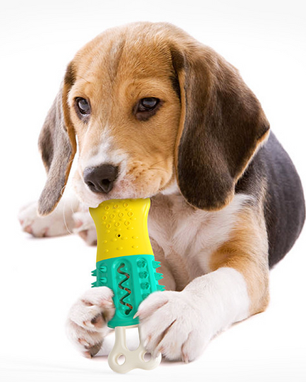 Summer Cooling Cleaning Care Teeth Pet Chewing Supplies