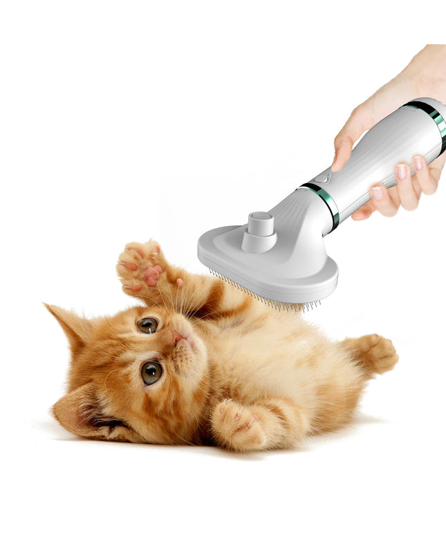 Pet Comb Hair Dryer