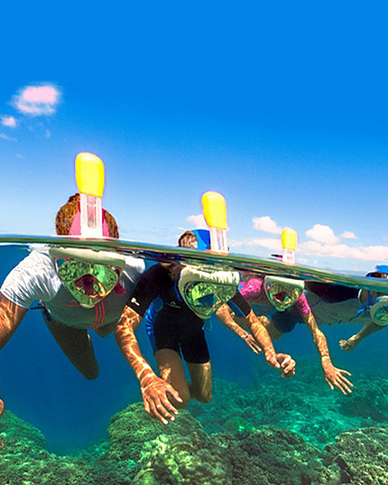 Full Face Snorkel Mask