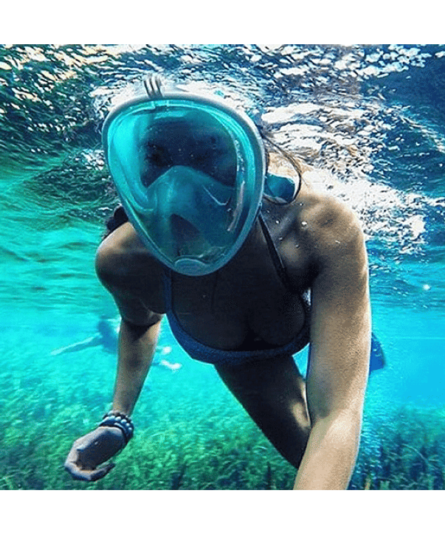 Full Face Snorkel Mask