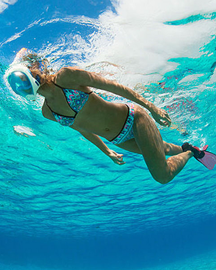 Full Face Snorkel Mask