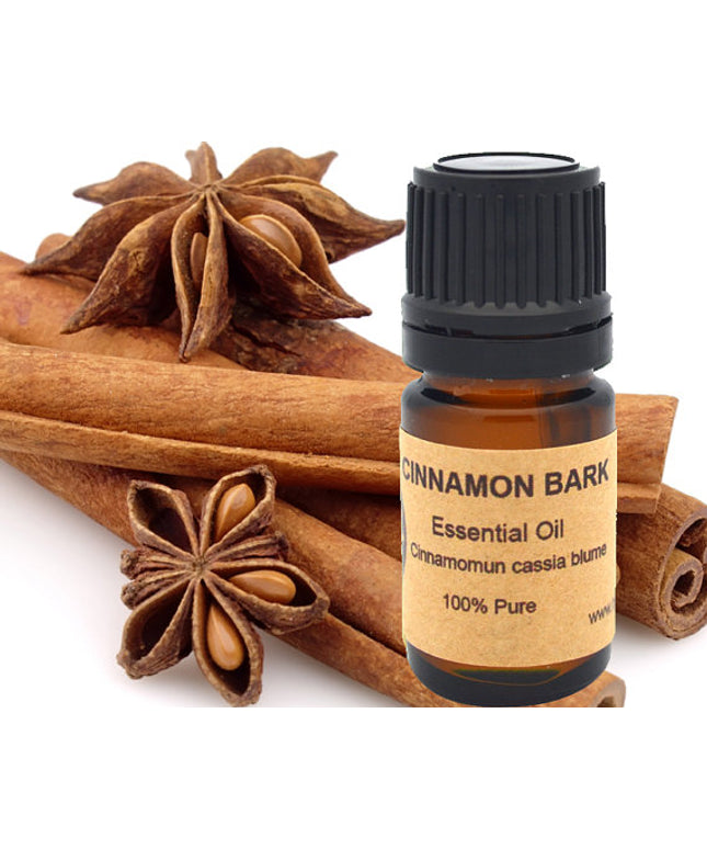 Cinnamon Bark Essential Oil 15 ml