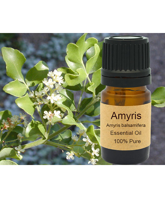 Amyris Essential Oil  15ml