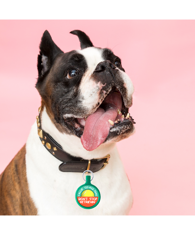Don’t Stop Retrievin’ Ecoplastic Pet ID Tag- Choose from many colors.