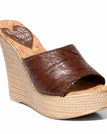 6 / Brown