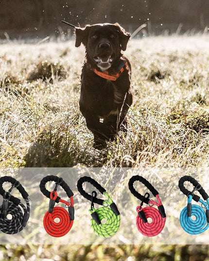 5 FT Leash With Comfortable Padded Handle and Reflective Threads