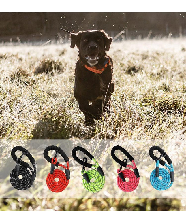 5 FT Leash With Comfortable Padded Handle and Reflective Threads
