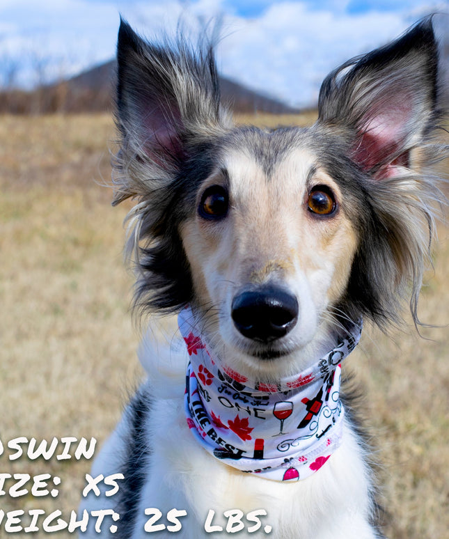 Wags and Wine Pup Scruff